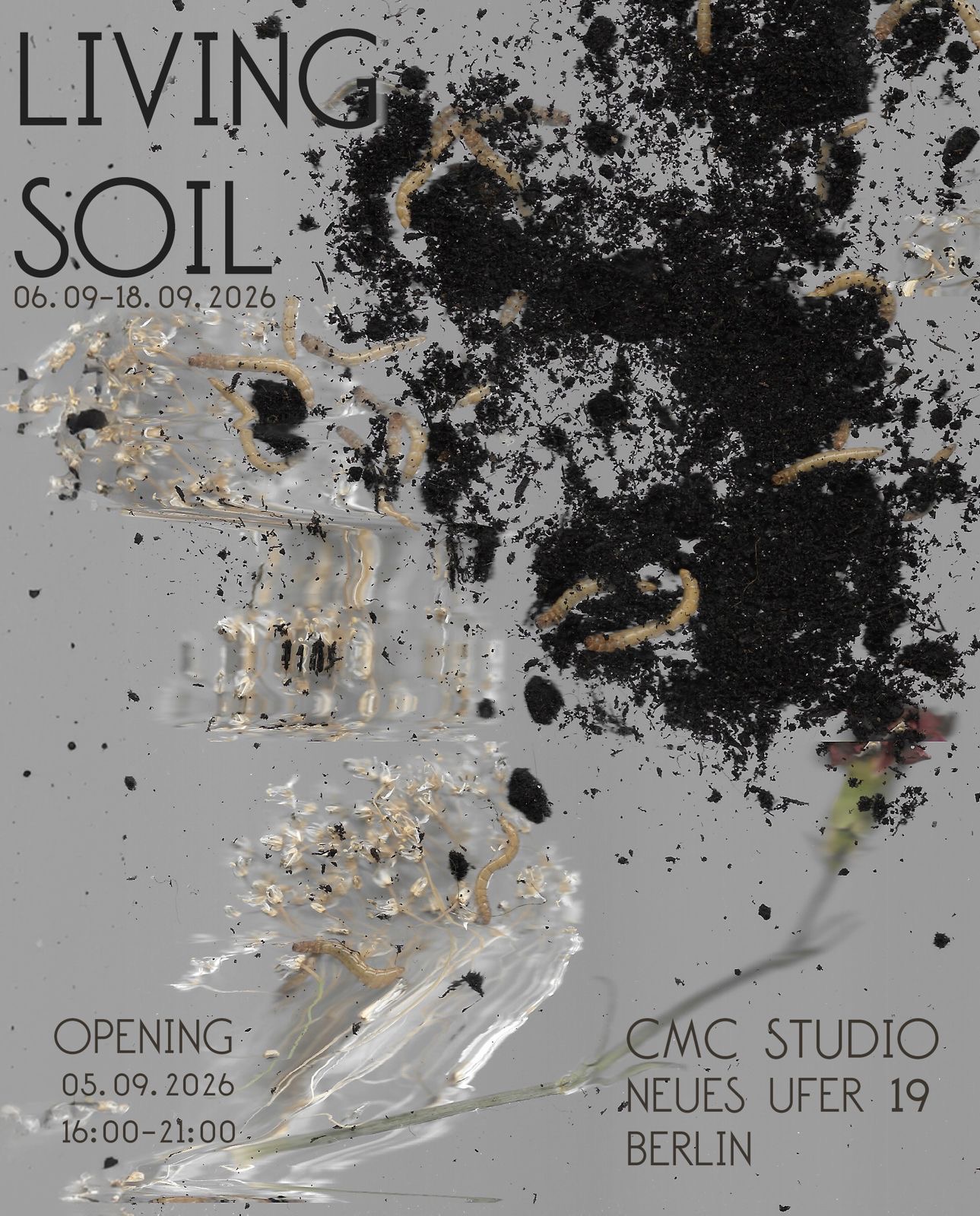 LIVING SOIL exhibition flyer — 06.09–18.09.2026, opening 05.09.2026 16:00–21:00, CMC Studio, Neues Ufer 19, Berlin